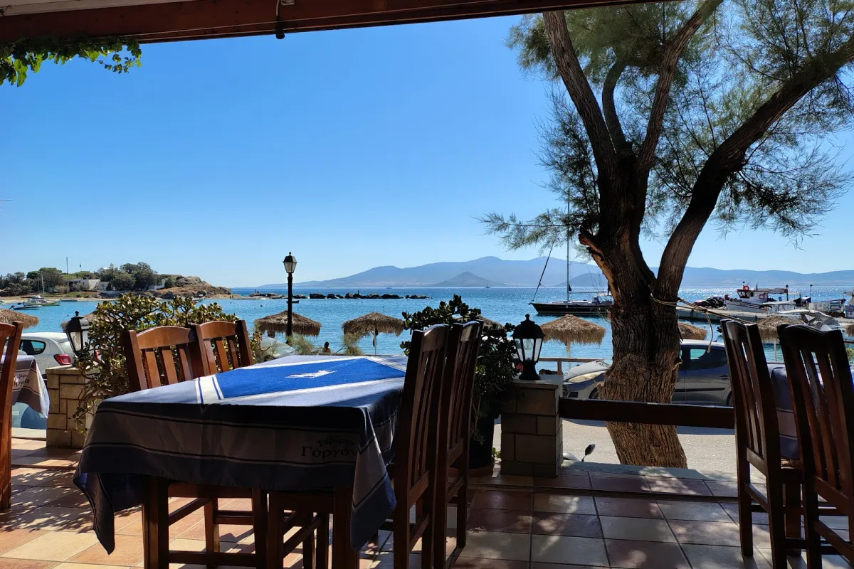 Gorgona Greek Taverna Naxos photo 1