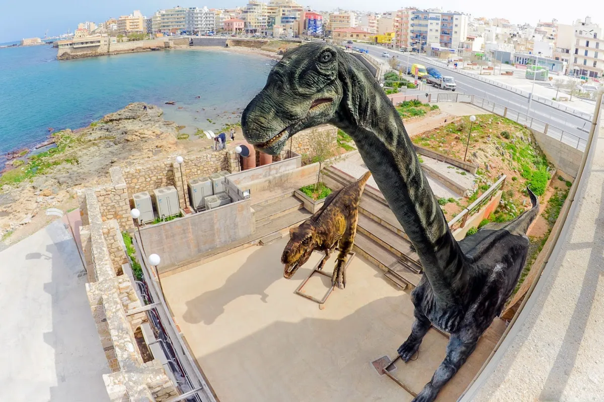 Natural History Museum of Crete photo 1