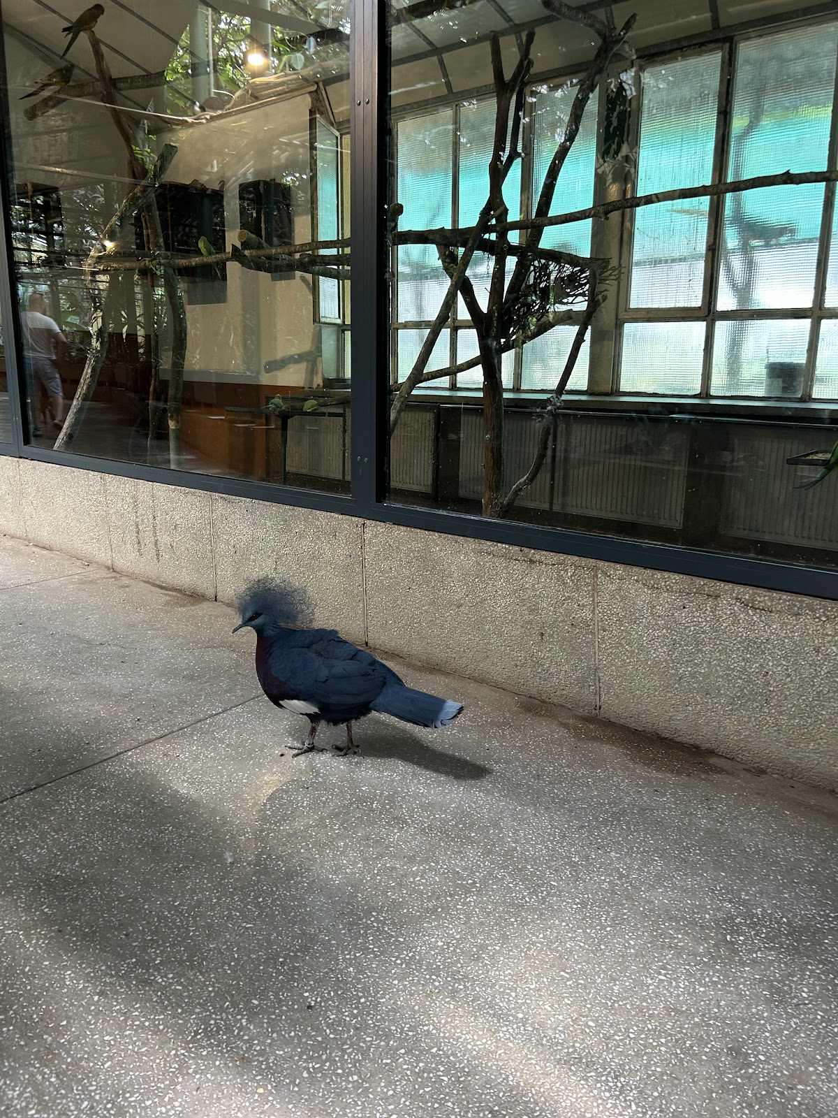 Zoo Târgu Mureș - Marosvásárhelyi Állatkert photo 10