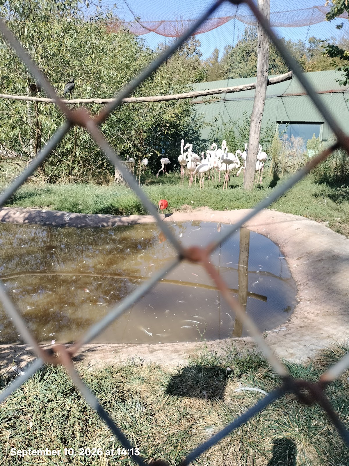 Zoo Târgu Mureș - Marosvásárhelyi Állatkert photo 5