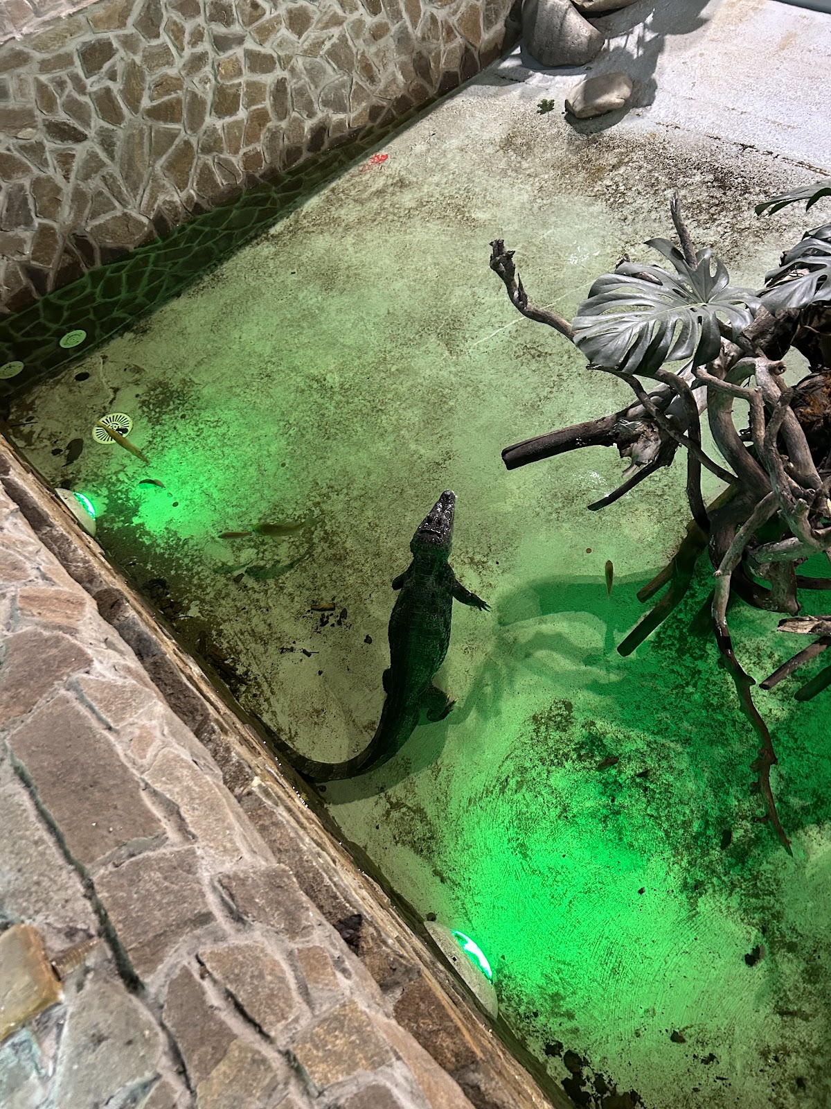 Zoo Târgu Mureș - Marosvásárhelyi Állatkert photo 11