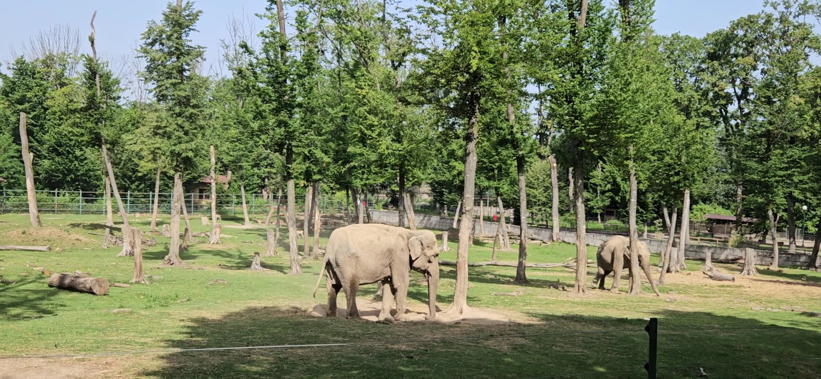 Zoo Târgu Mureș - Marosvásárhelyi Állatkert photo 6