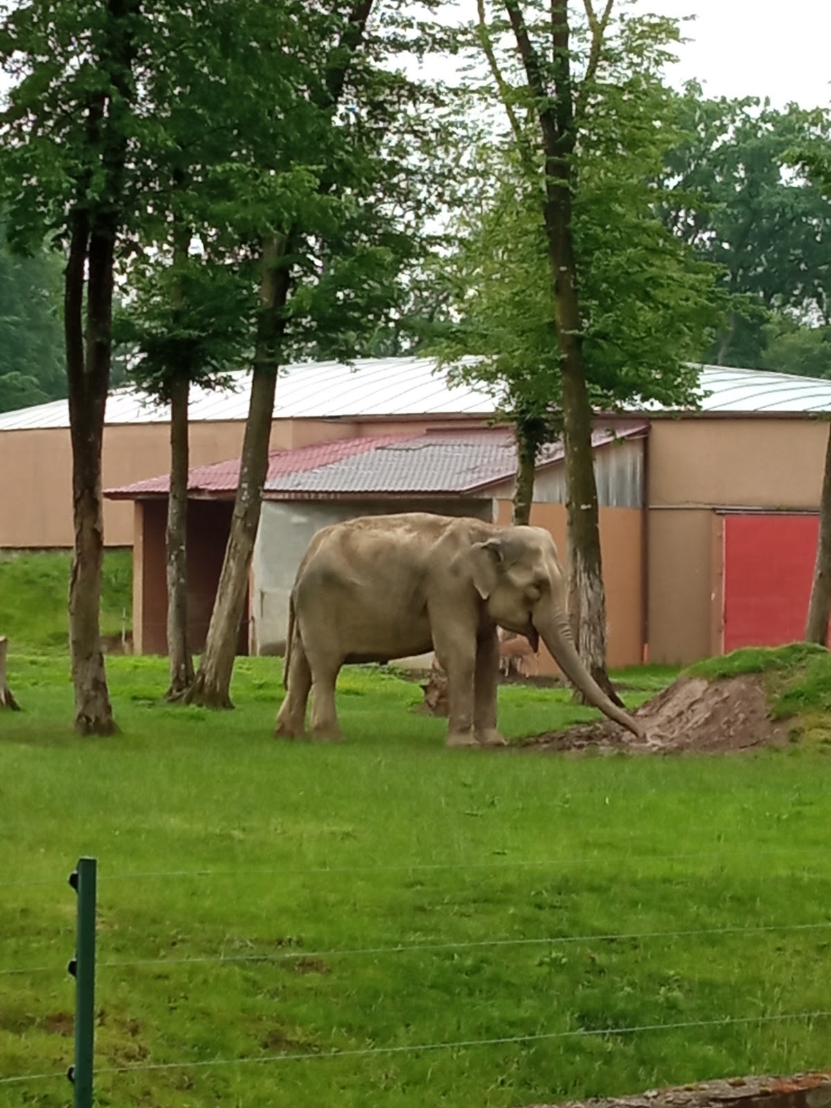 Zoo Târgu Mureș - Marosvásárhelyi Állatkert photo 8