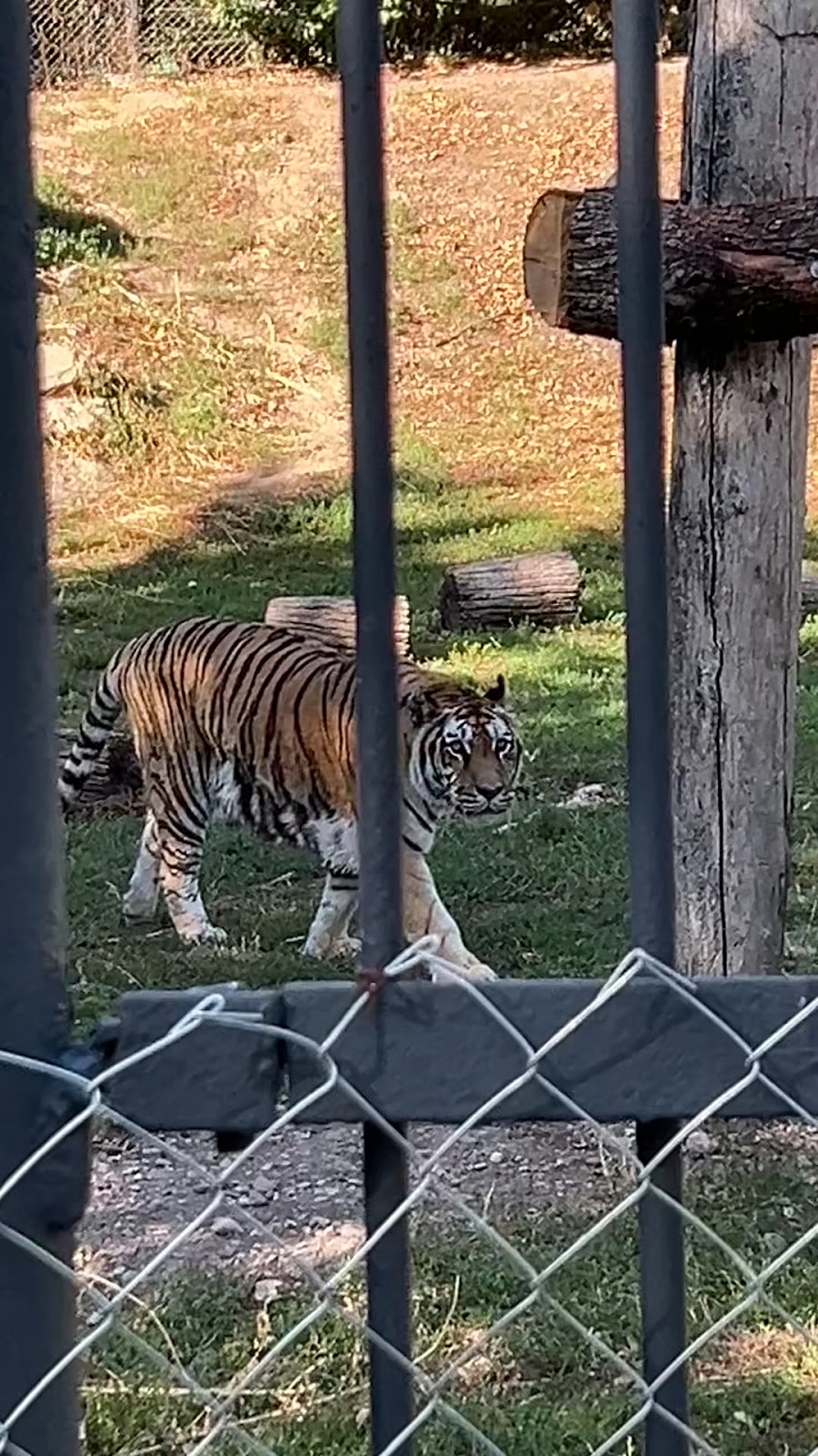 Zoo Târgu Mureș - Marosvásárhelyi Állatkert photo 4